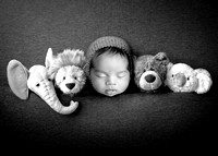 Newborn Digital Backdrop - Lauree Jane Photography, LLC